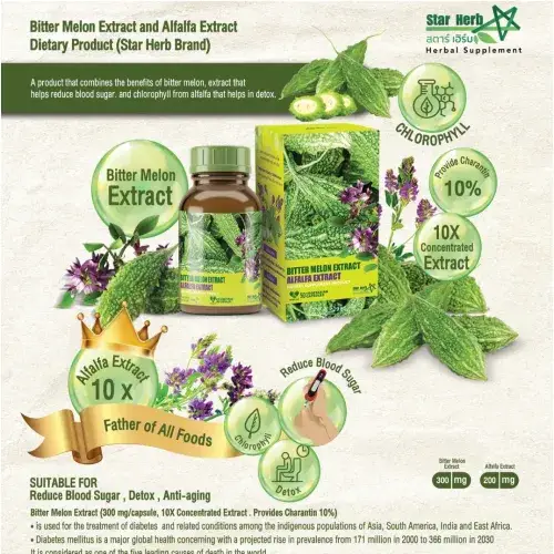 Gynostemma Extract Dietary Supplement Product